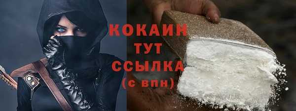 кокс Богородицк