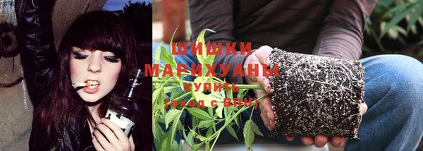 молекула духа Белоозёрский