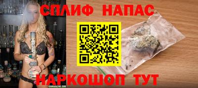 гашик Бийск