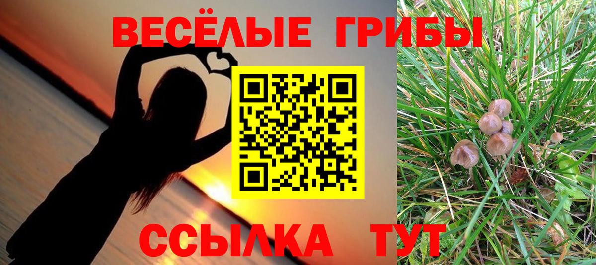 Псилоцибиновые грибы ЛСД Горячий Ключ