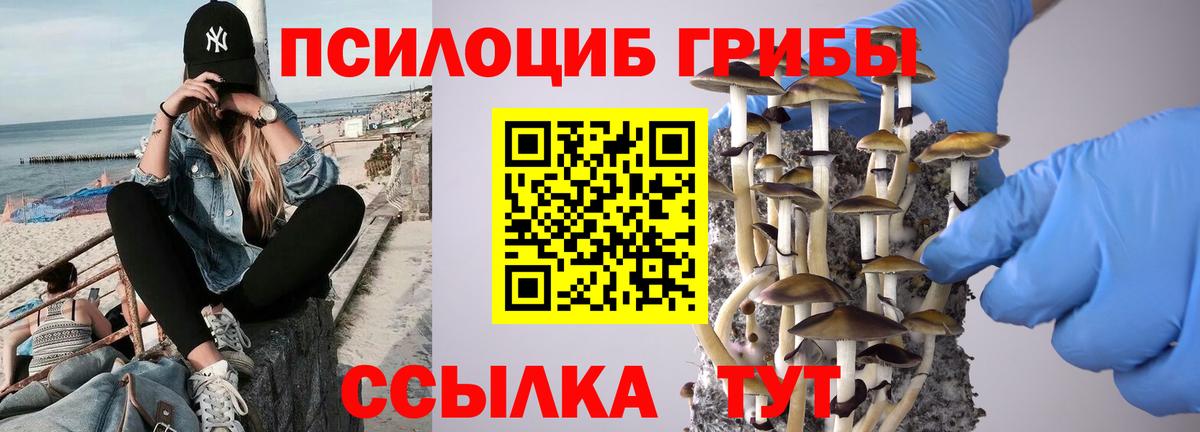 Псилоцибиновые грибы Psilocybine cubensis Горячий Ключ